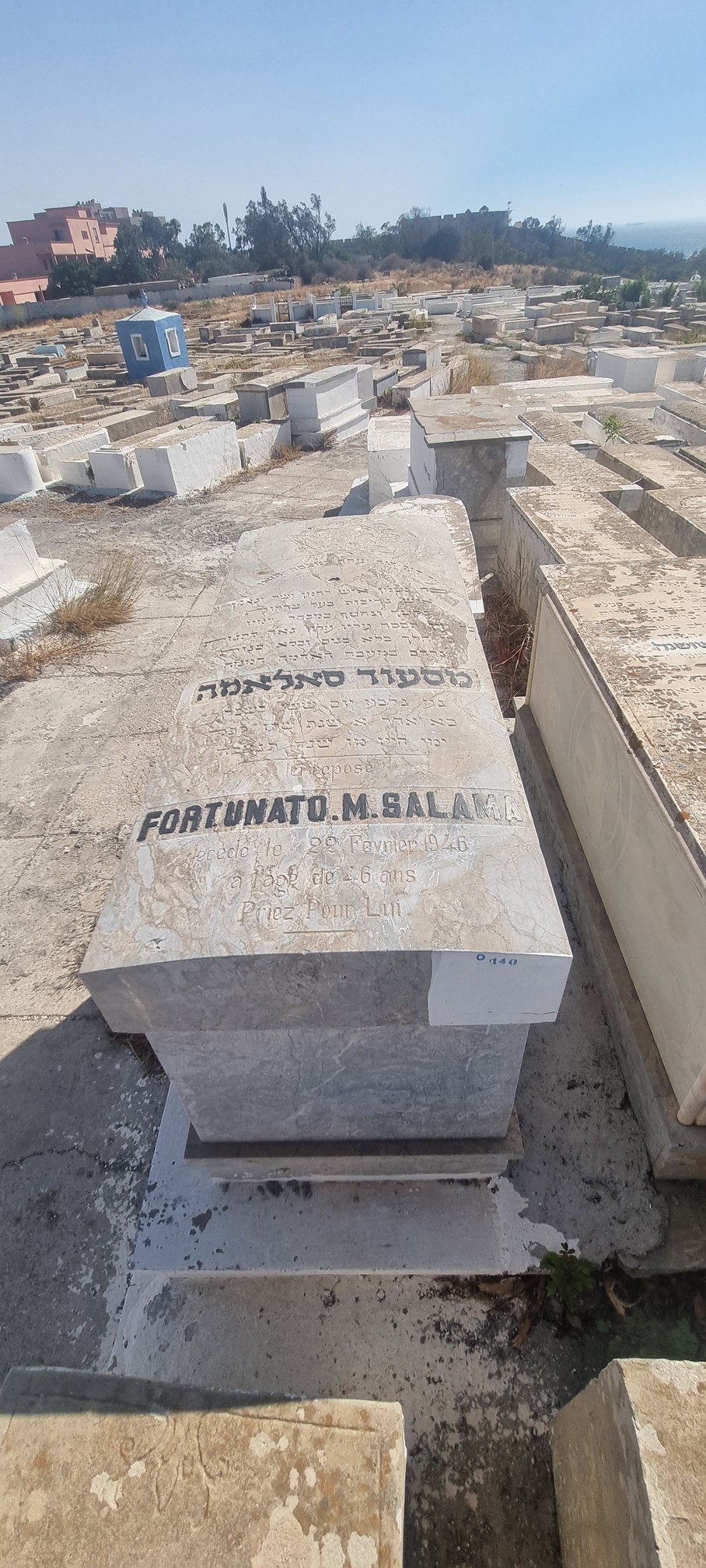 شاهدة قبر Salama Fortunato M.