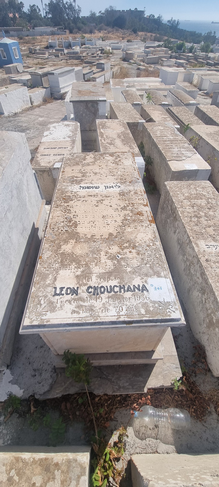 شاهدة قبر Chouchana Léon