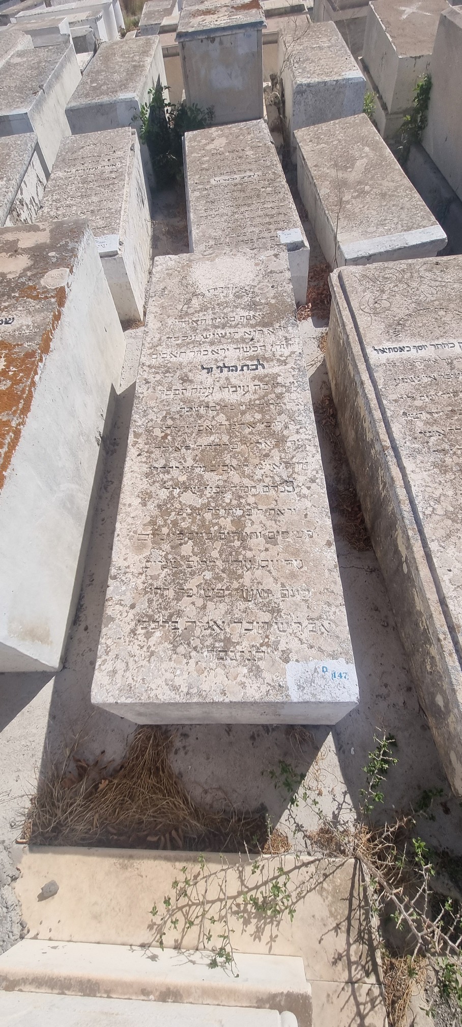 Estela de Halévy Lebet