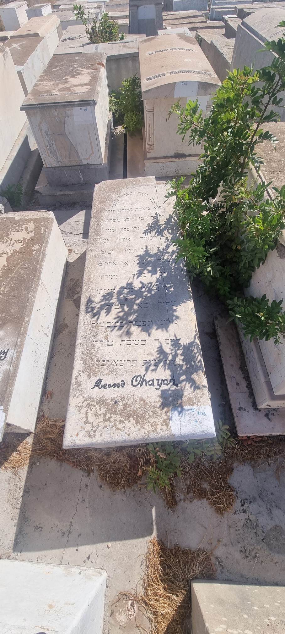 Lápide de Ohayon Messod