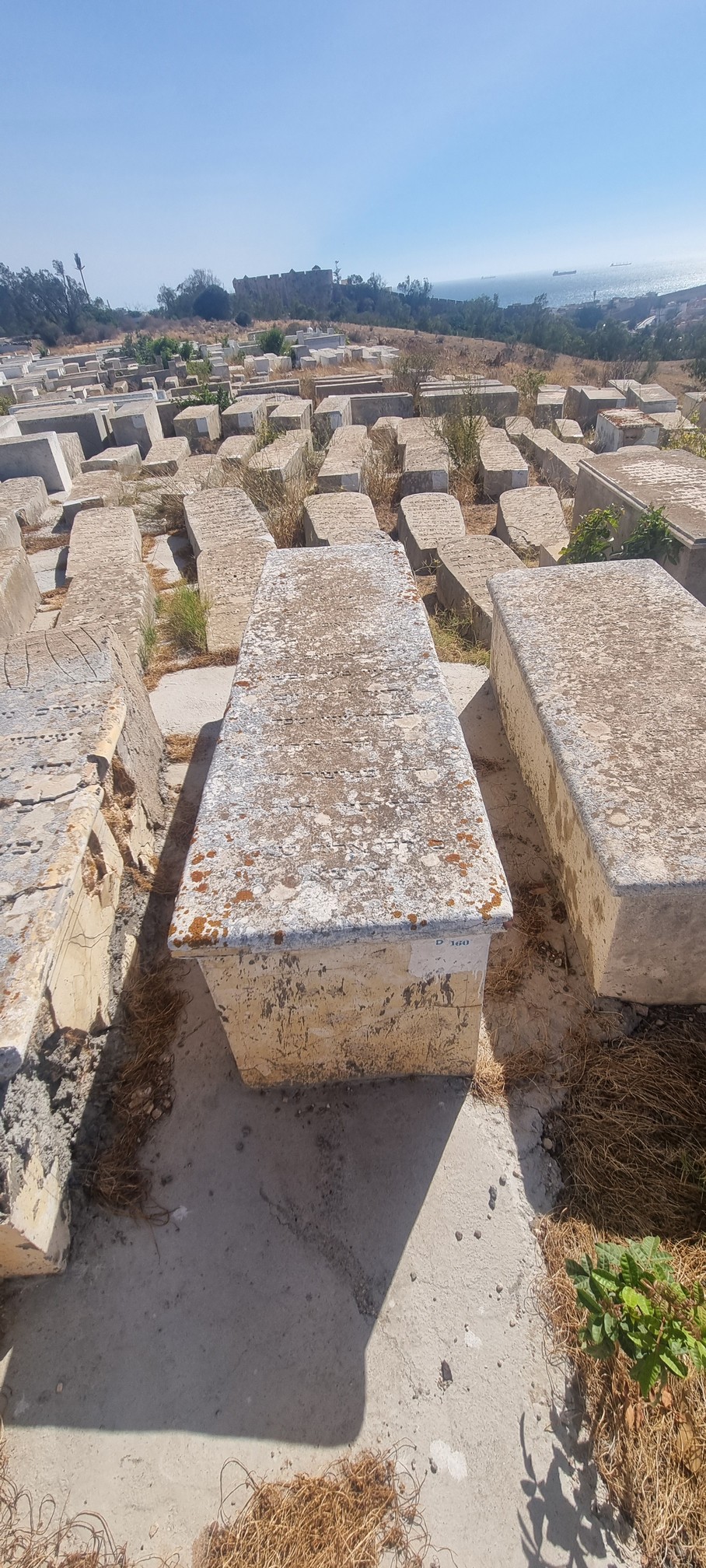 شاهدة قبر Ohayon Itshaq