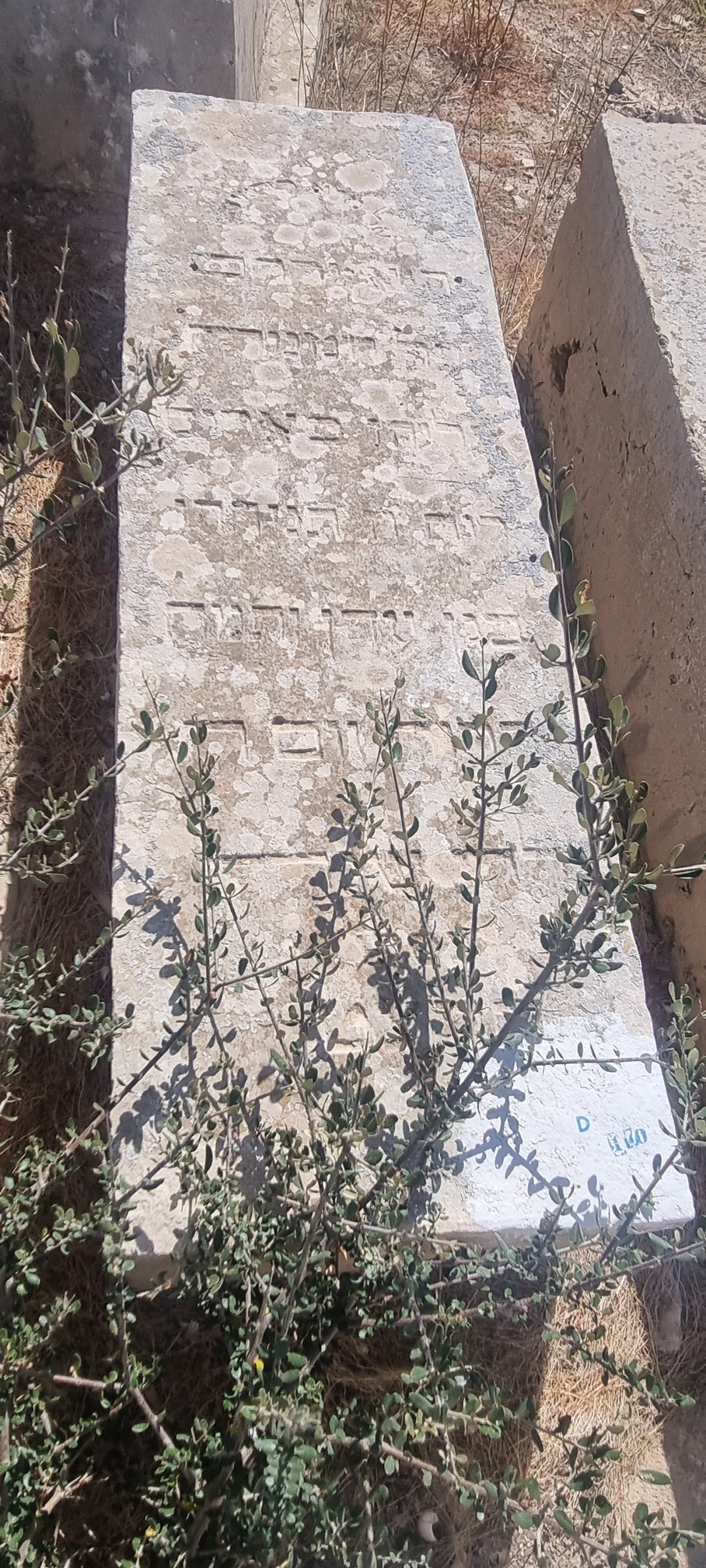 מַצֵּבה פון Karouchi Eliyahou
