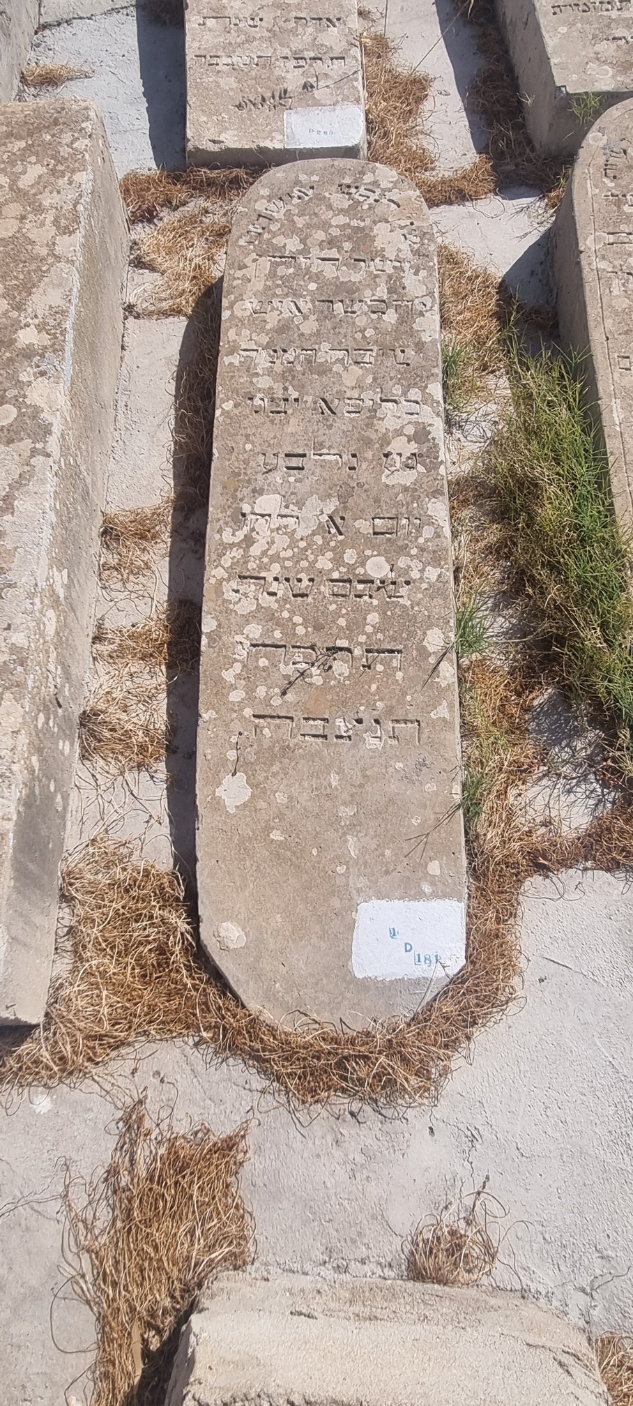 Grabstein von Ibgui Kalifa