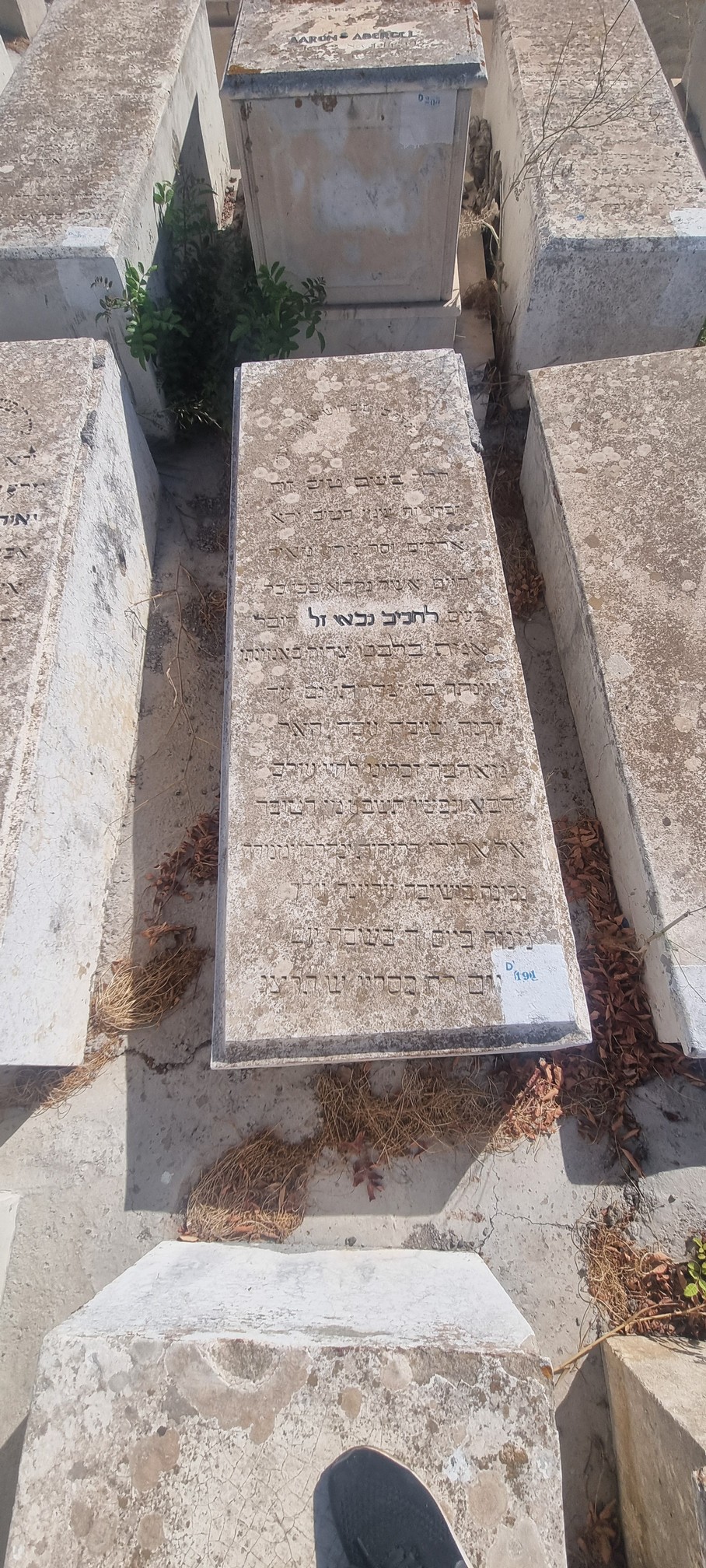 Tombstone of Gabay Lehabib