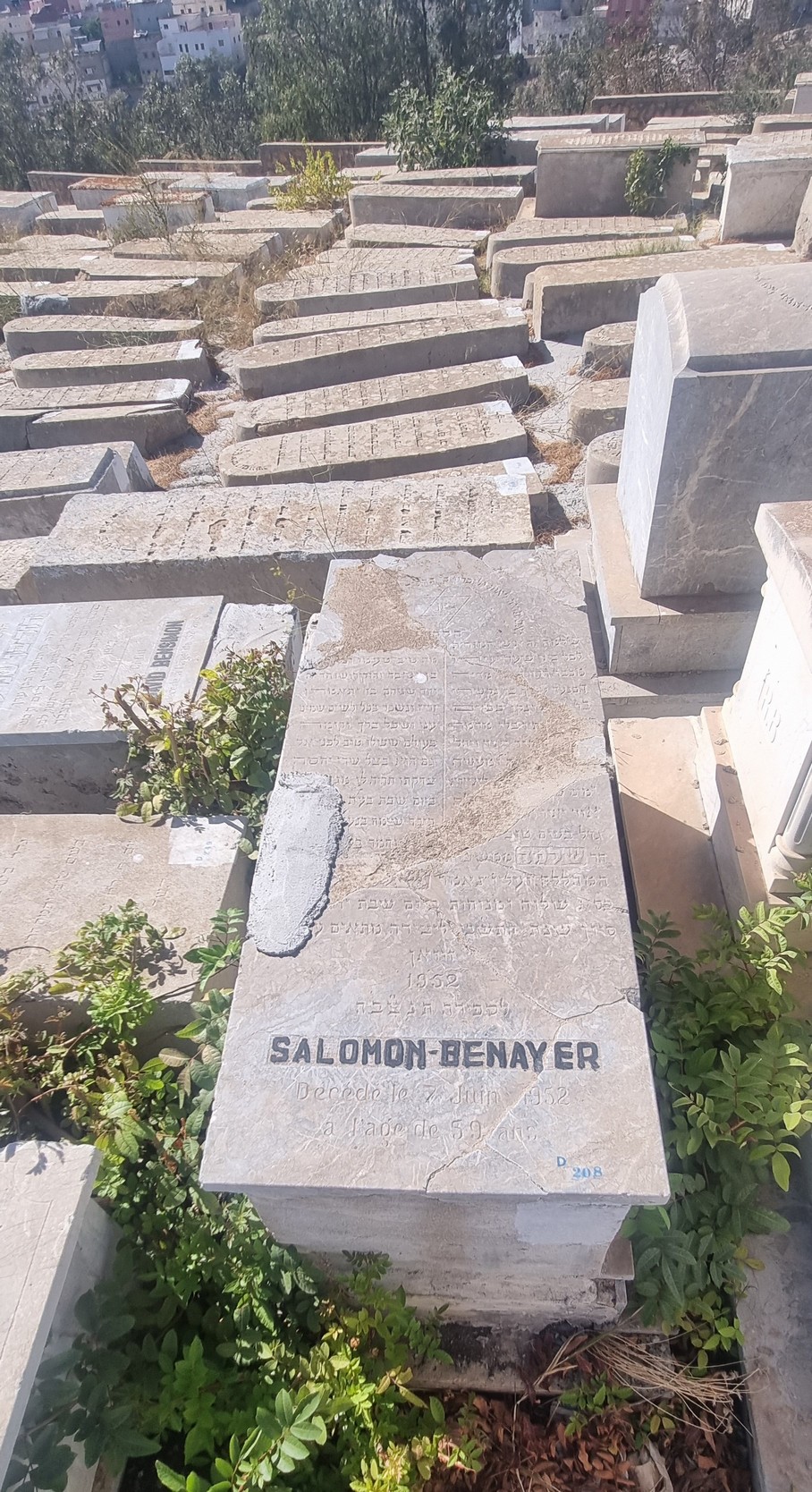 Grabstein von Benayer Salomon