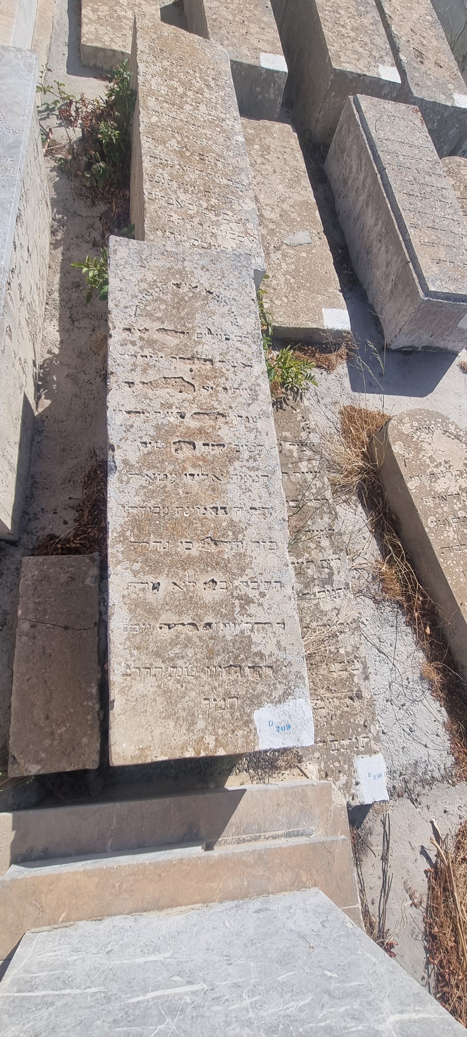מַצֵּבה פון Attar Eliyahou
