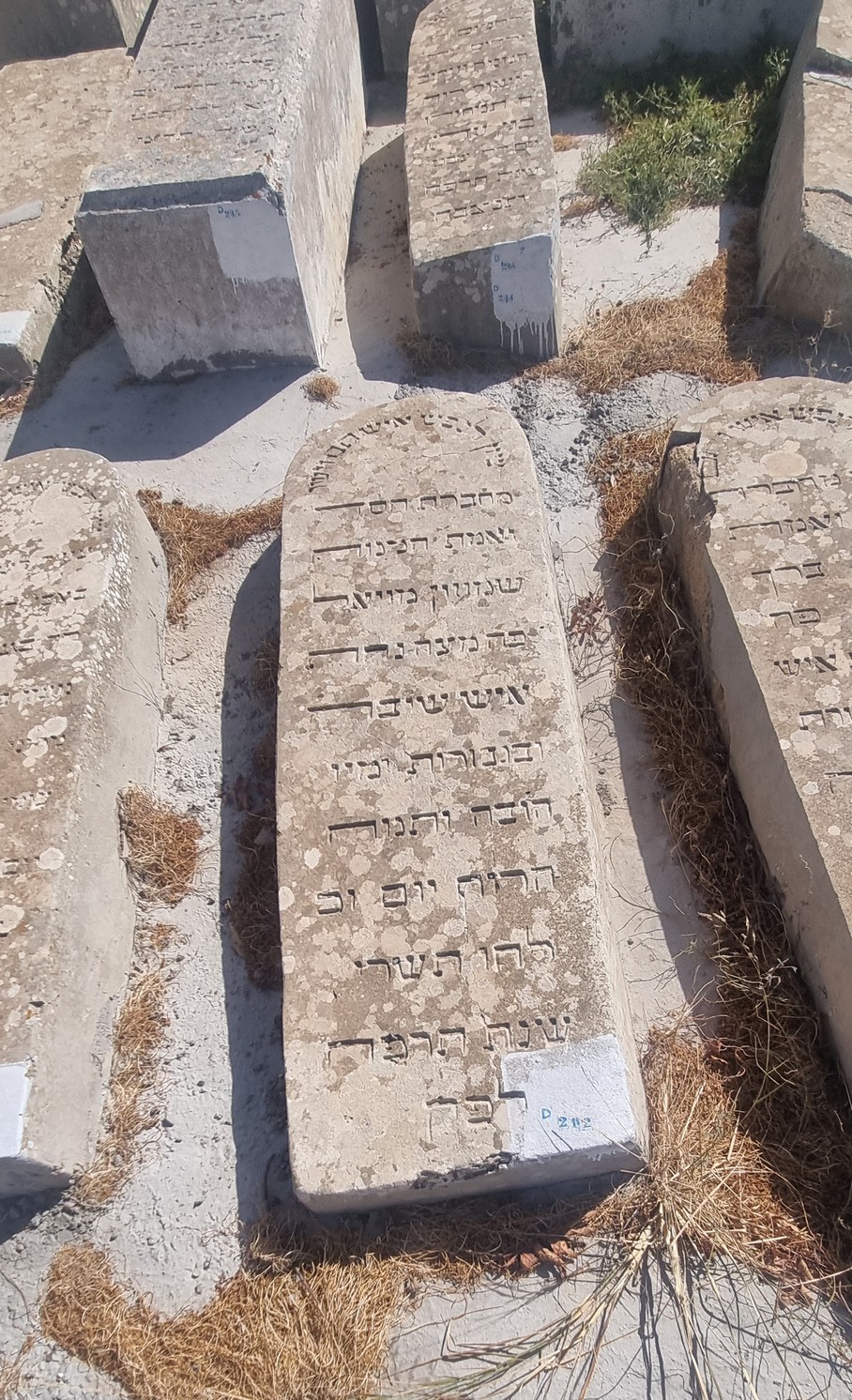 Stèle de Moyal Shimon