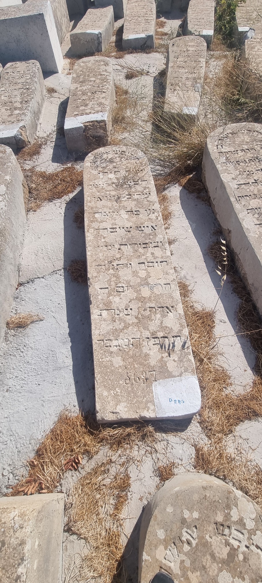 Grabstein von Wizman Yaacov