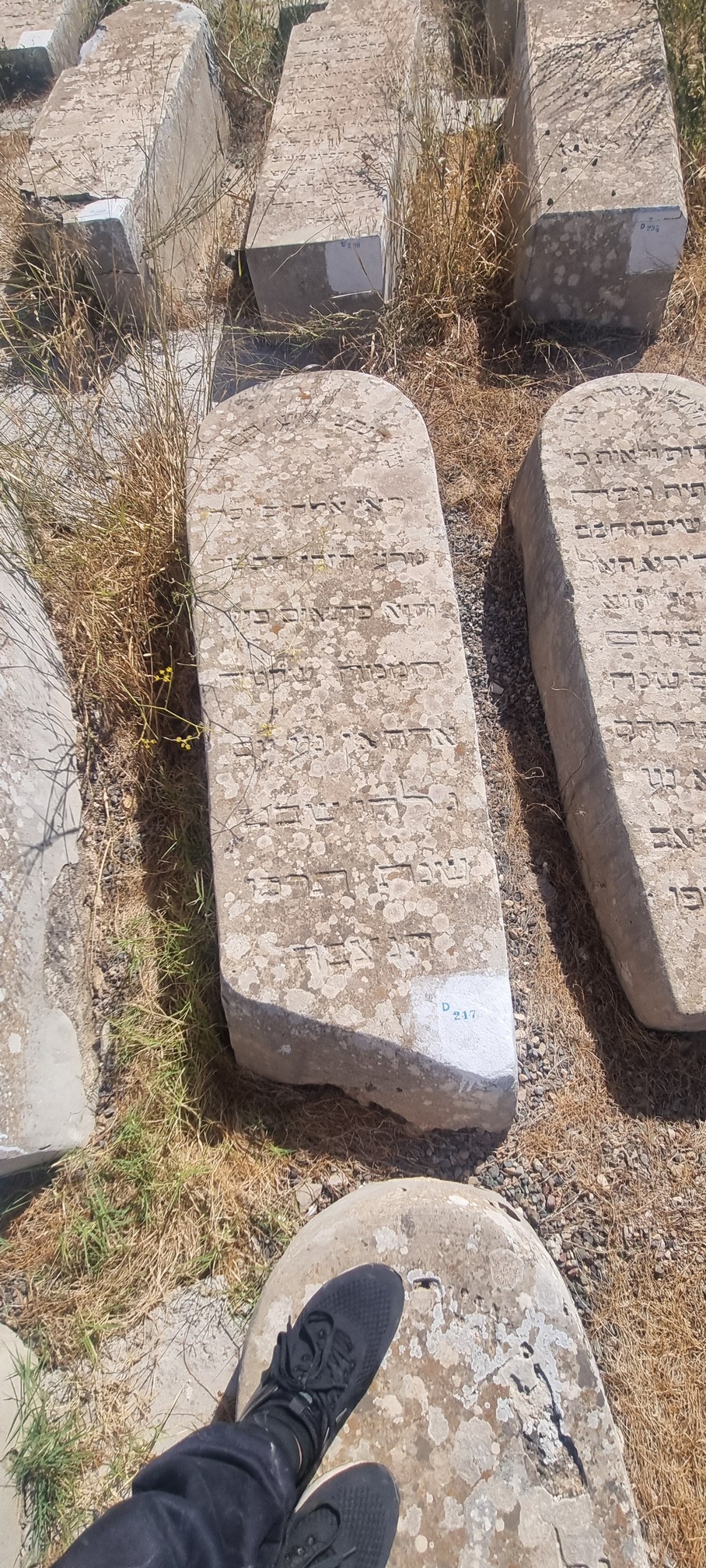 מַצֵּבה פון Dahan Shlomo