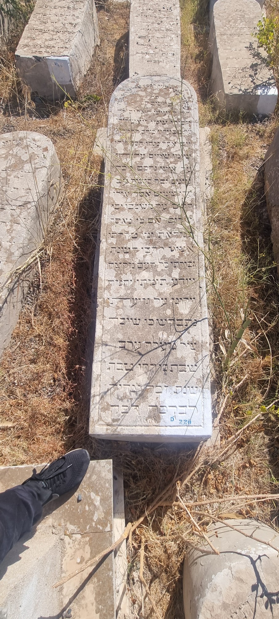 Stèle de Lalouz Yaish