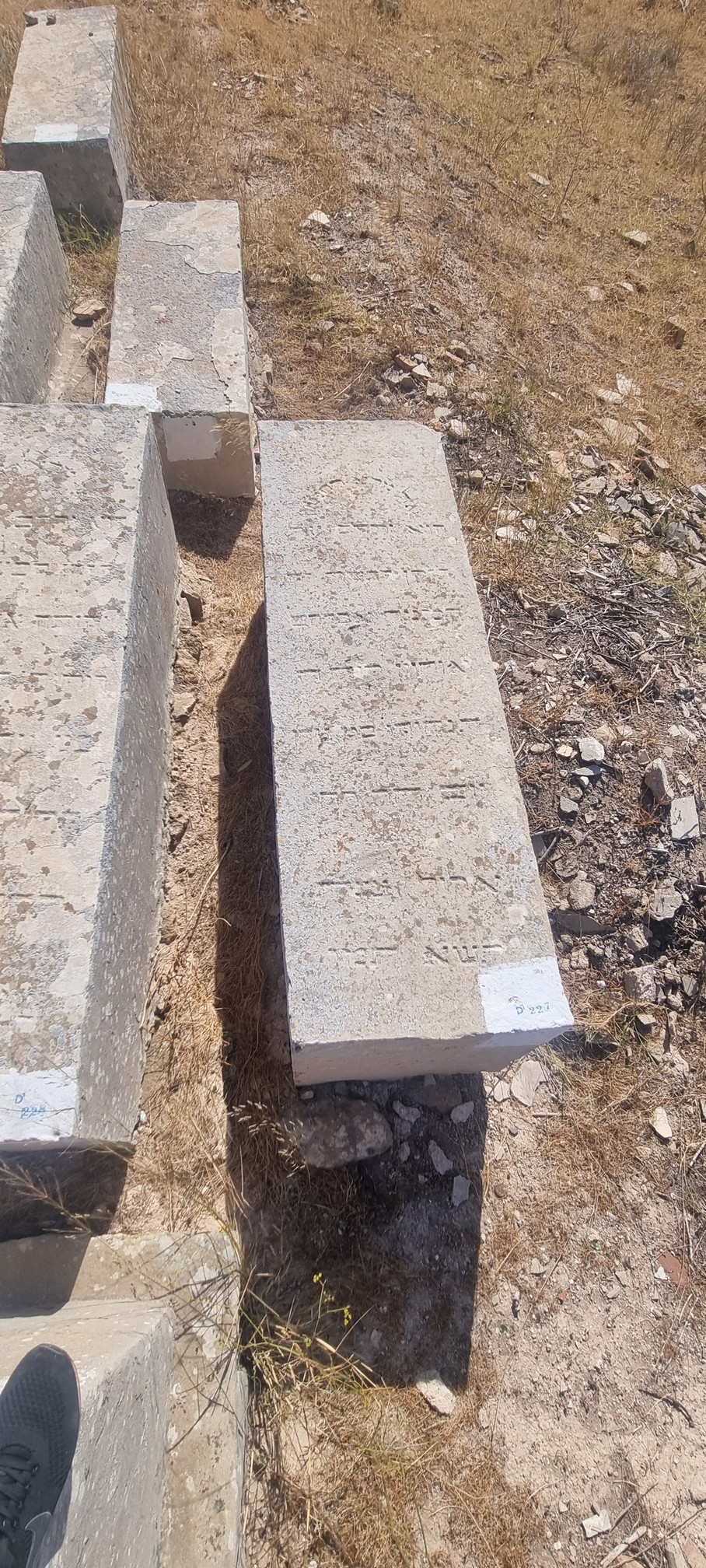Ohayon Avraham 的墓碑