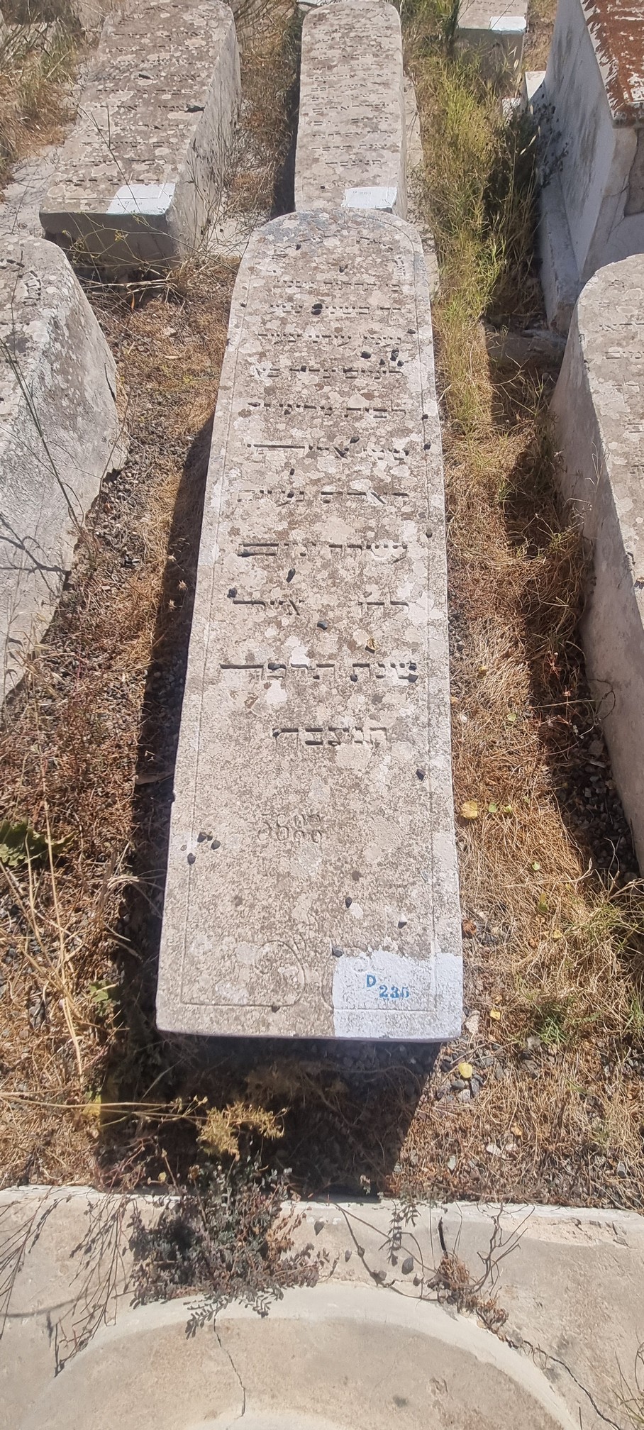 מַצֵּבה פון Lalouz Eliyahou