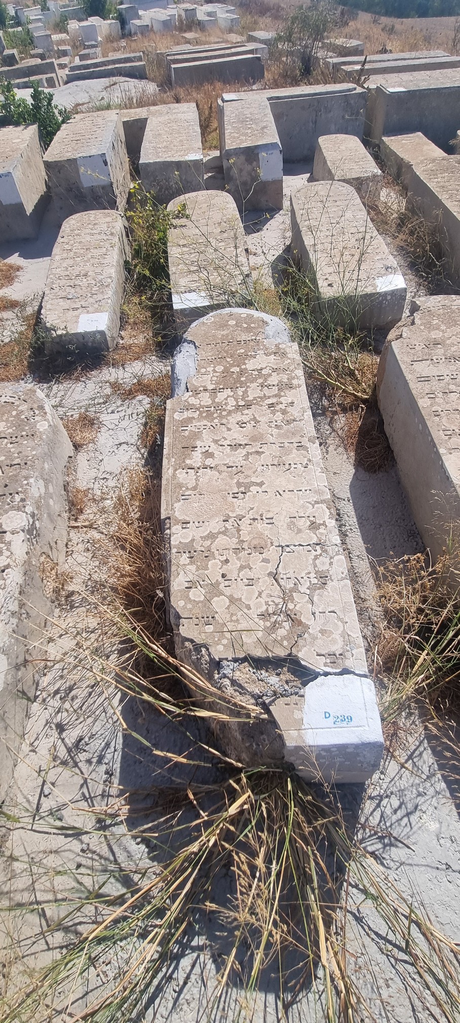 מַצֵּבה פון Ovadia Siboni Ovadia