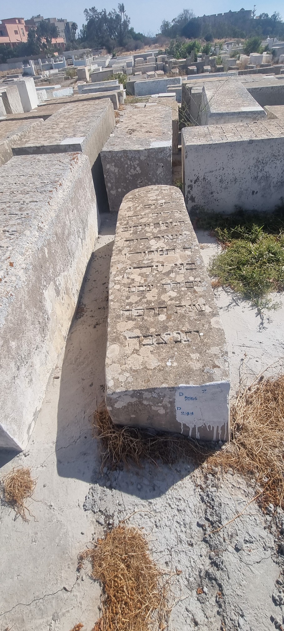 Stèle de Assor Yaacov