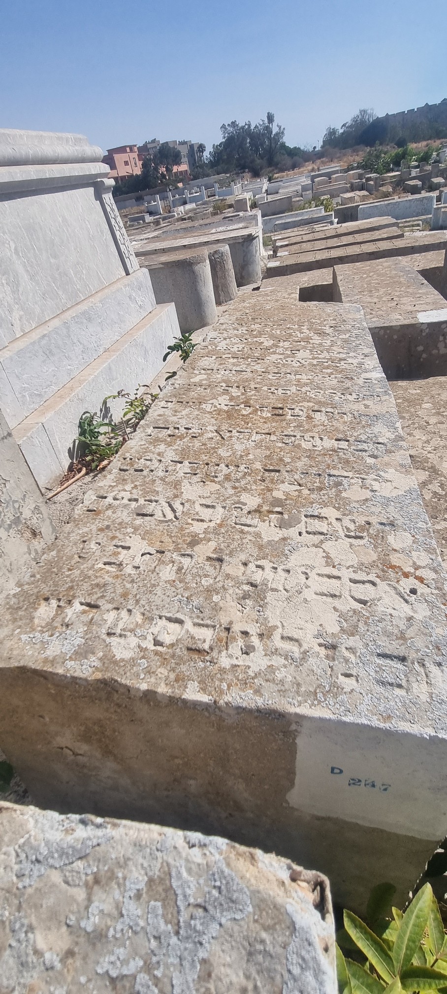 Stèle de Siboni Avraham