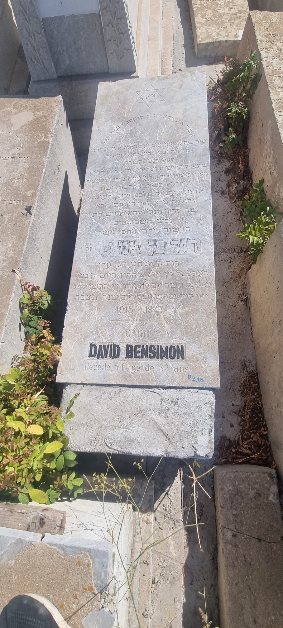 Надгробие Bensimon David