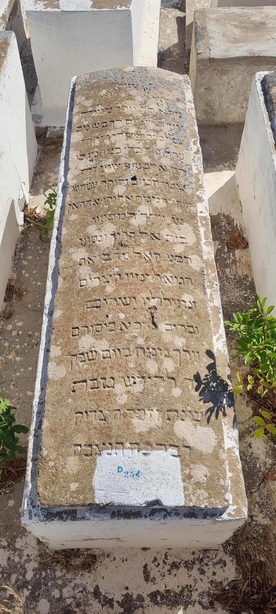 Stèle de Dahan Elyahou