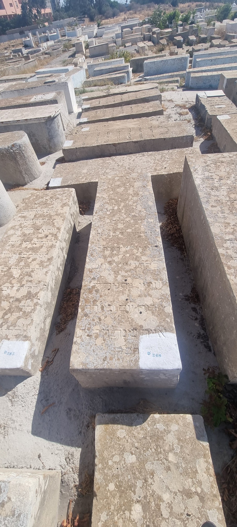 Stèle de Itah Elyahou