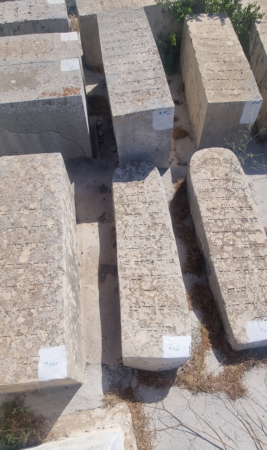 מצבת Asher (Gabay) Avraham (Lucien)
