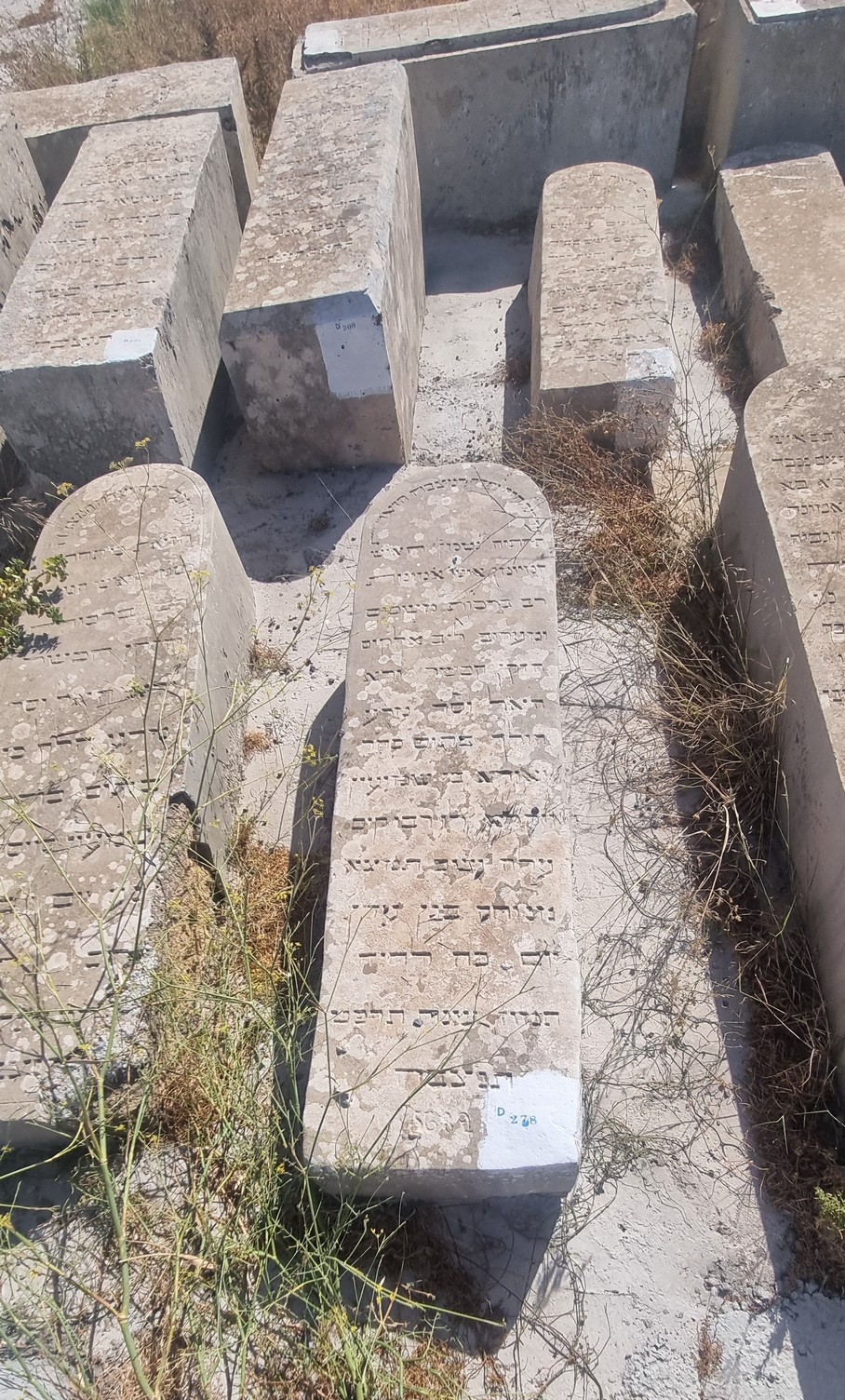 מצבת Bensmiyan Yehouda