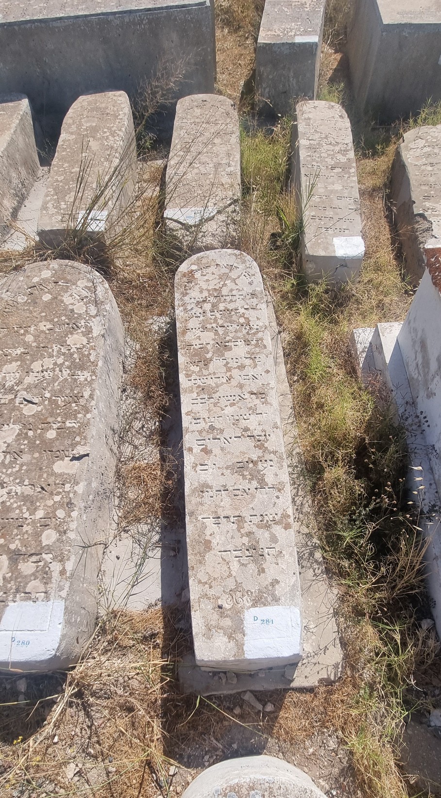 شاهدة قبر Lalouz Yossef