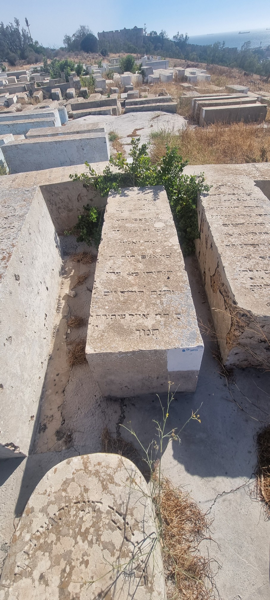 Lápide de Bouganim Yamin