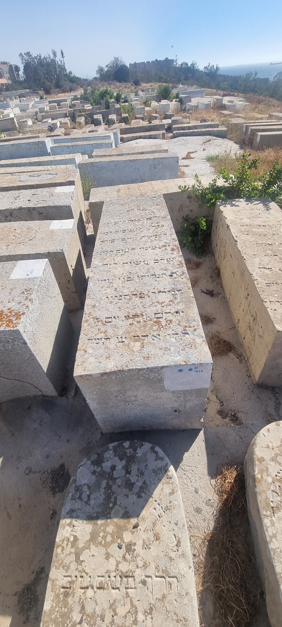 Assor Yaacov fejfája