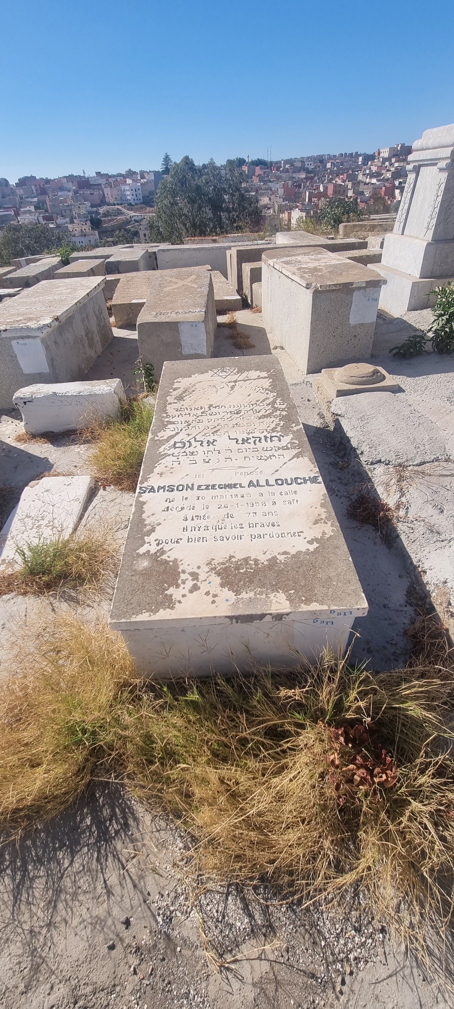 Tombstone of Allouche Samson Ezéchiel