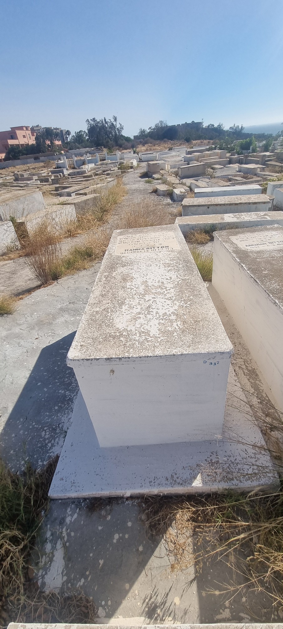 شاهدة قبر Bitton Hanna