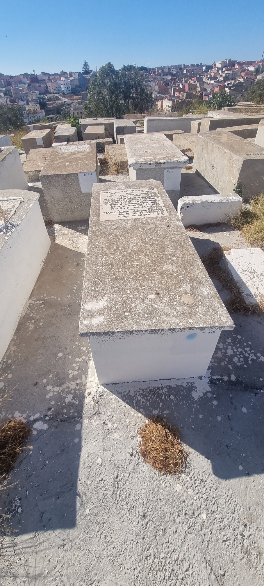מַצֵּבה פון Mane Julien Adolphe Salomon