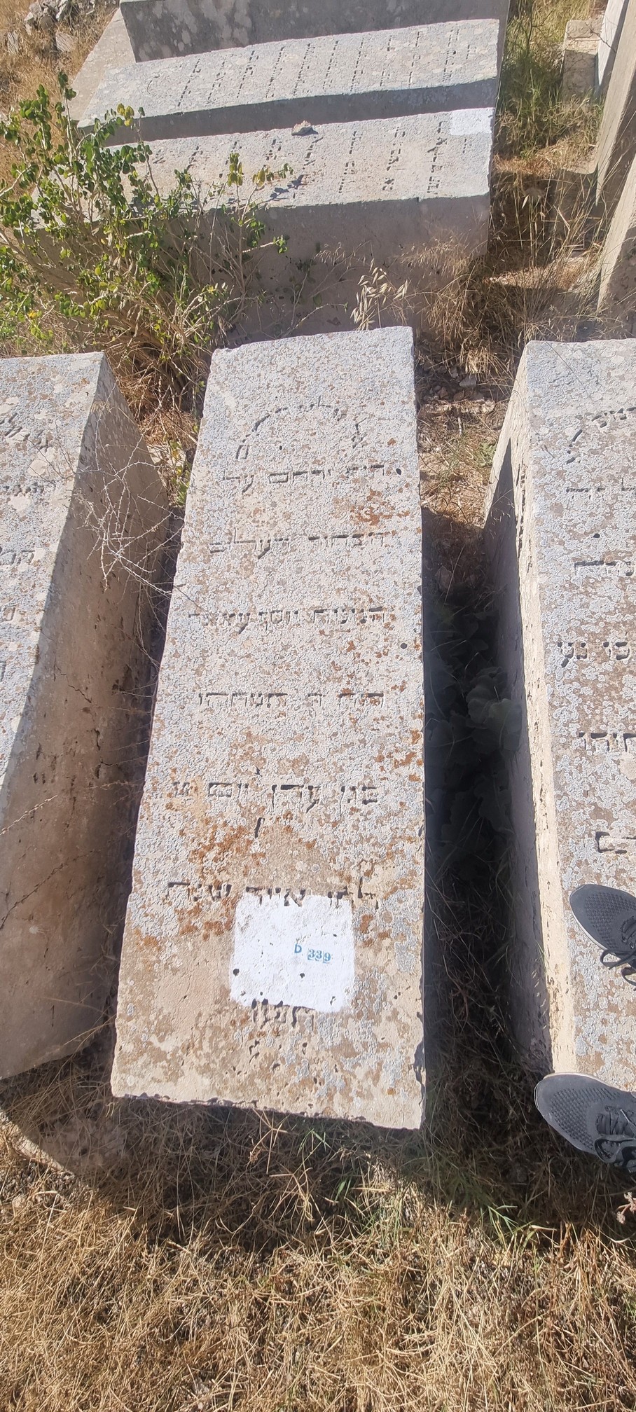 מצבת Amar Yossef