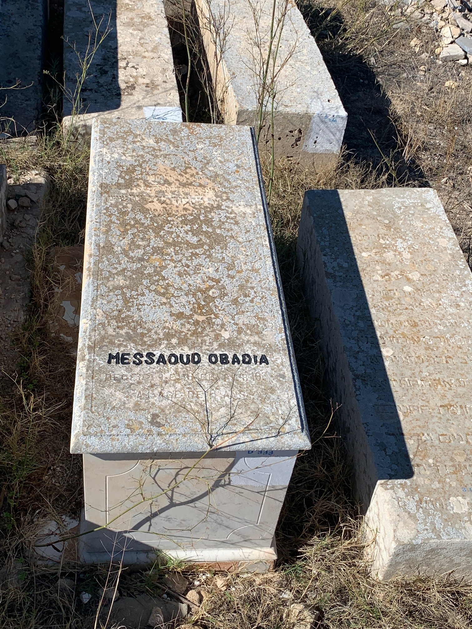 Tombstone of Obadia Messaoud