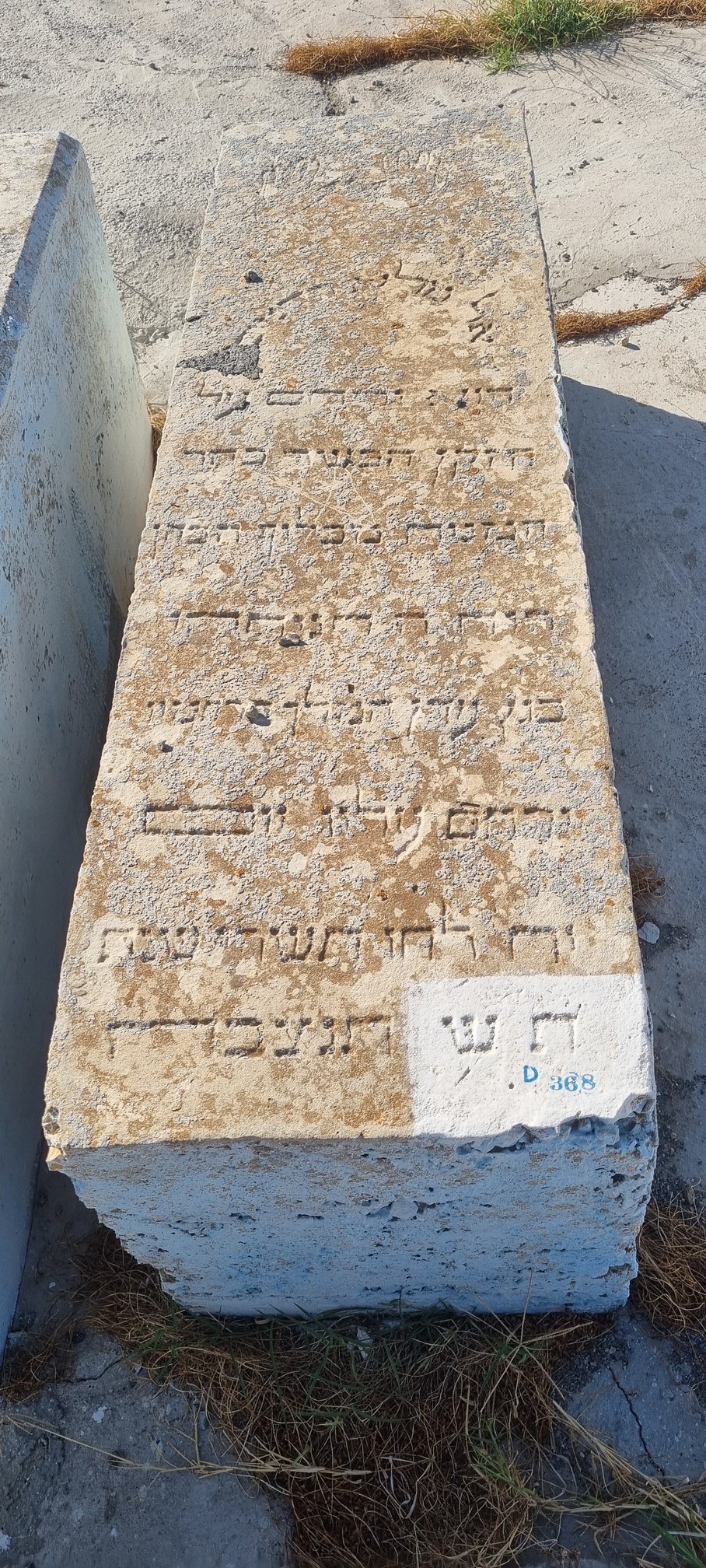 מַצֵּבה פון Hacohen Makhlouf
