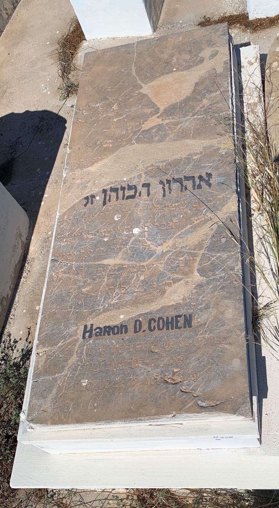 Tombstone of Cohen Haron D.