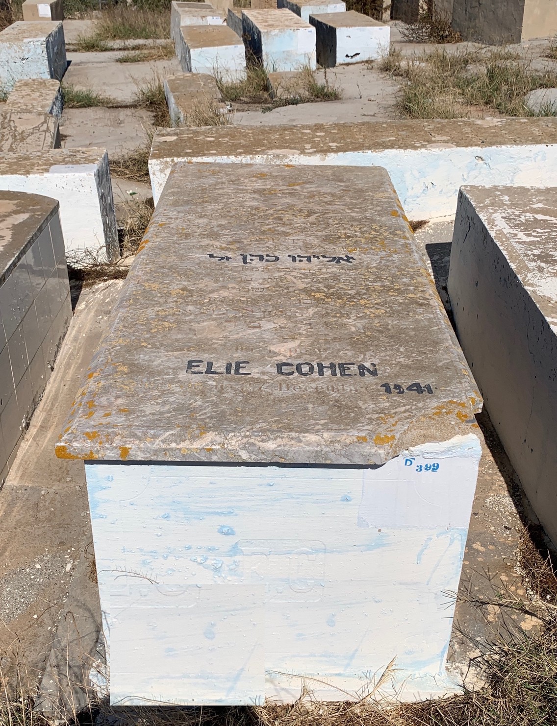 Cohen Elie fejfája
