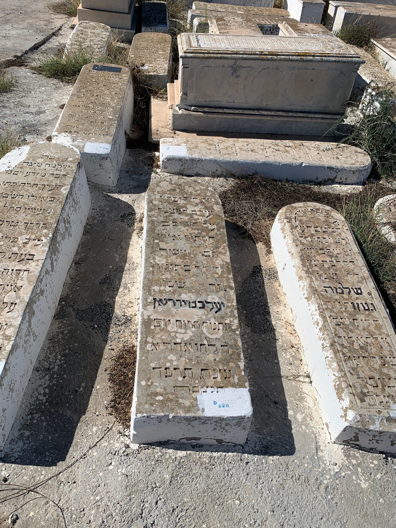 شاهدة قبر Merran Yaakov