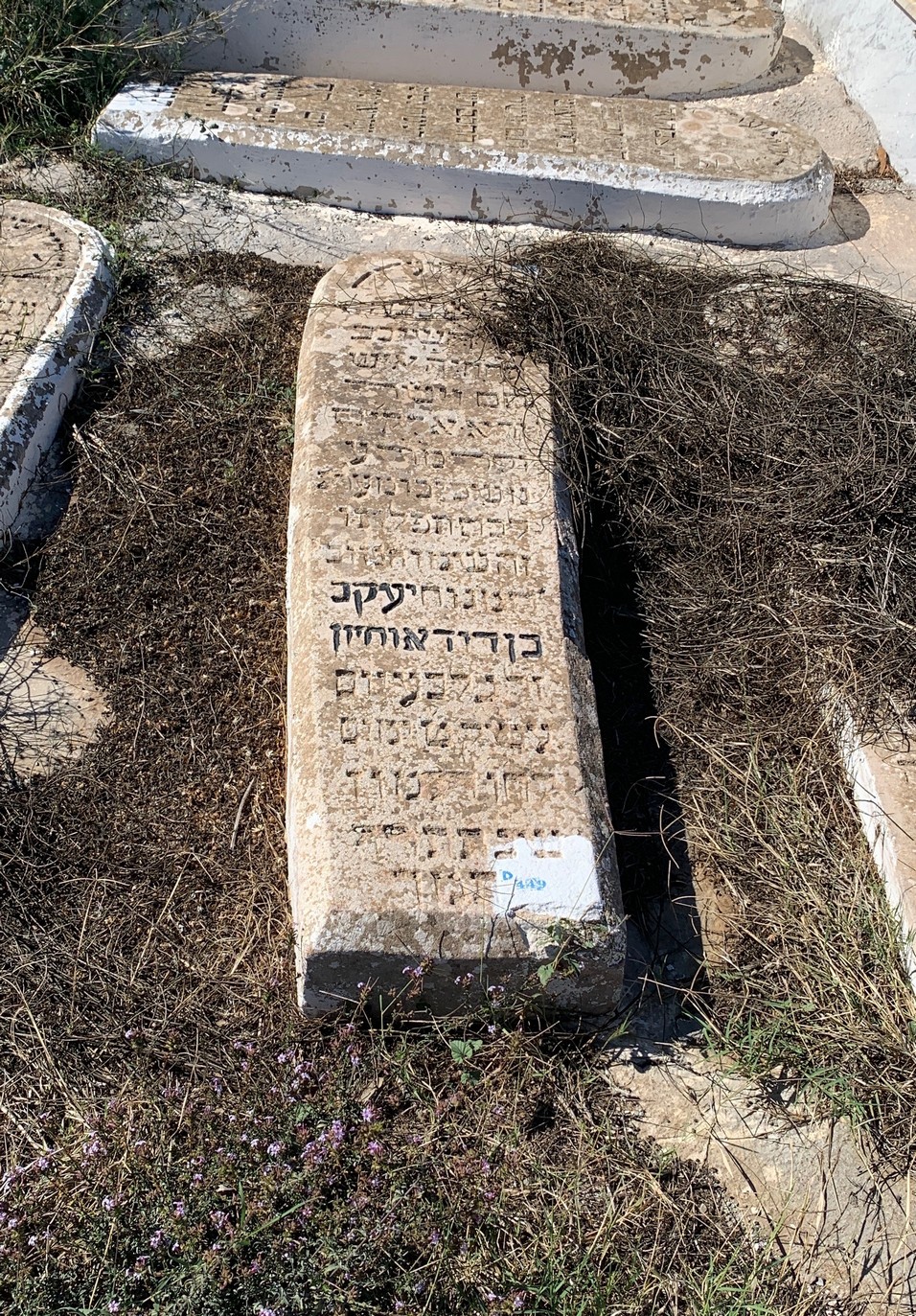 Grabstein von B.D. Ohayon Yaakov