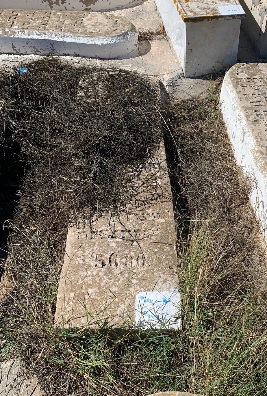 شاهدة قبر Zagury Abraham