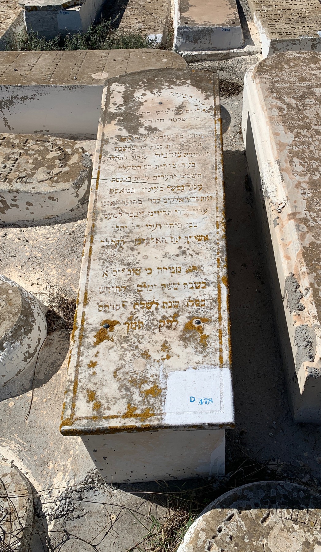 شاهدة قبر Merran Shlomo