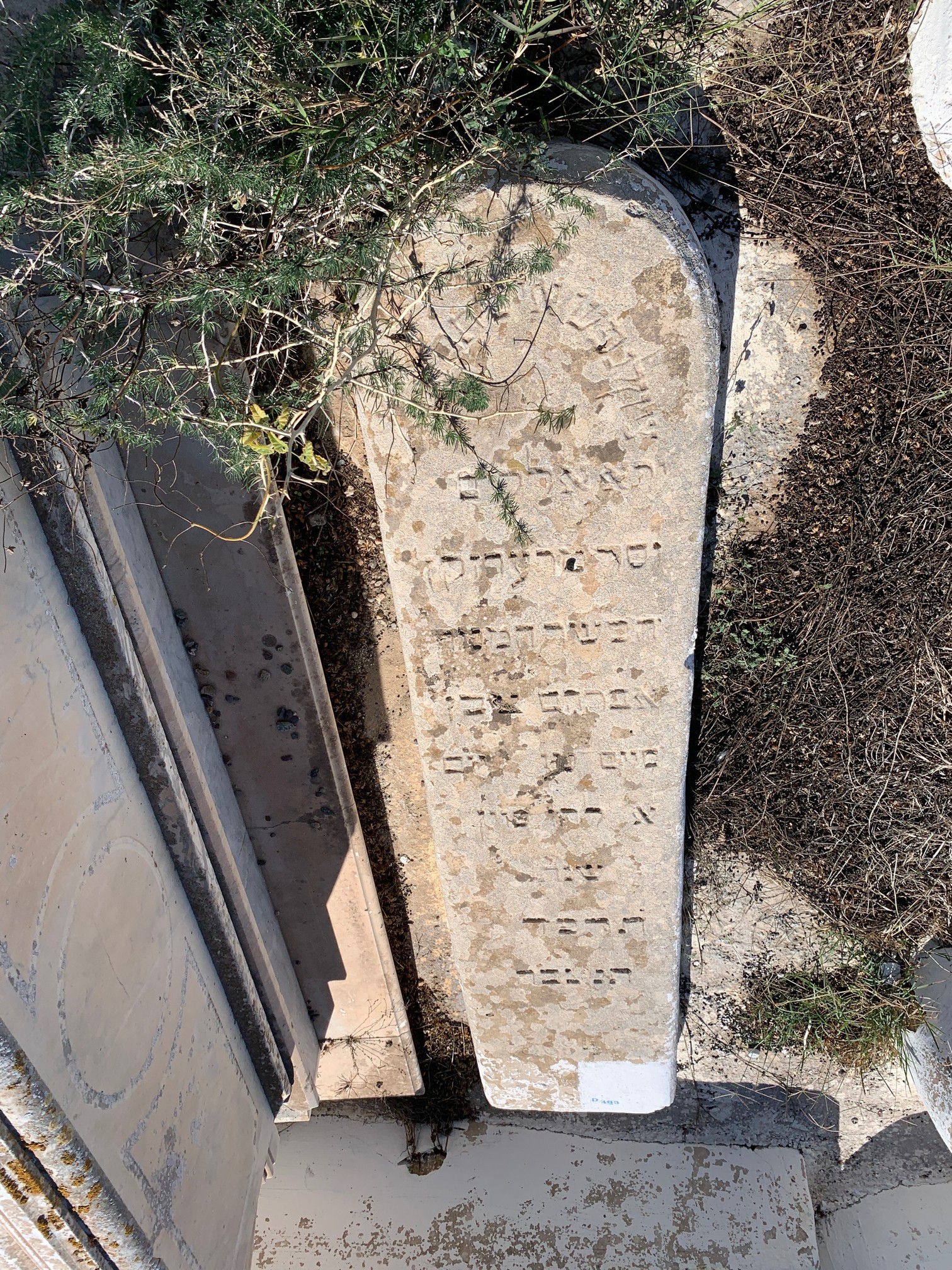 מַצֵּבה פון Mouallem Hayim