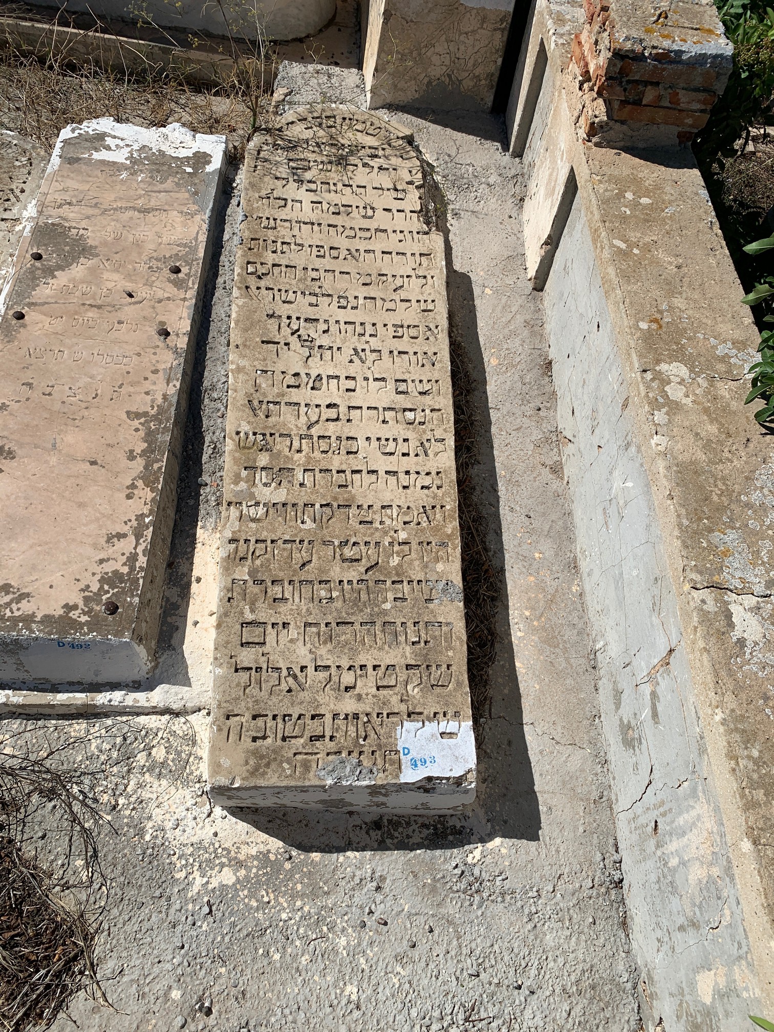 Grabstein von Halevy Shlomo