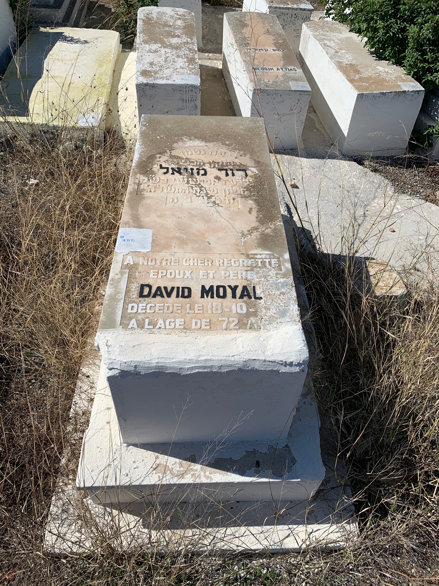 מַצֵּבה פון Moyal David