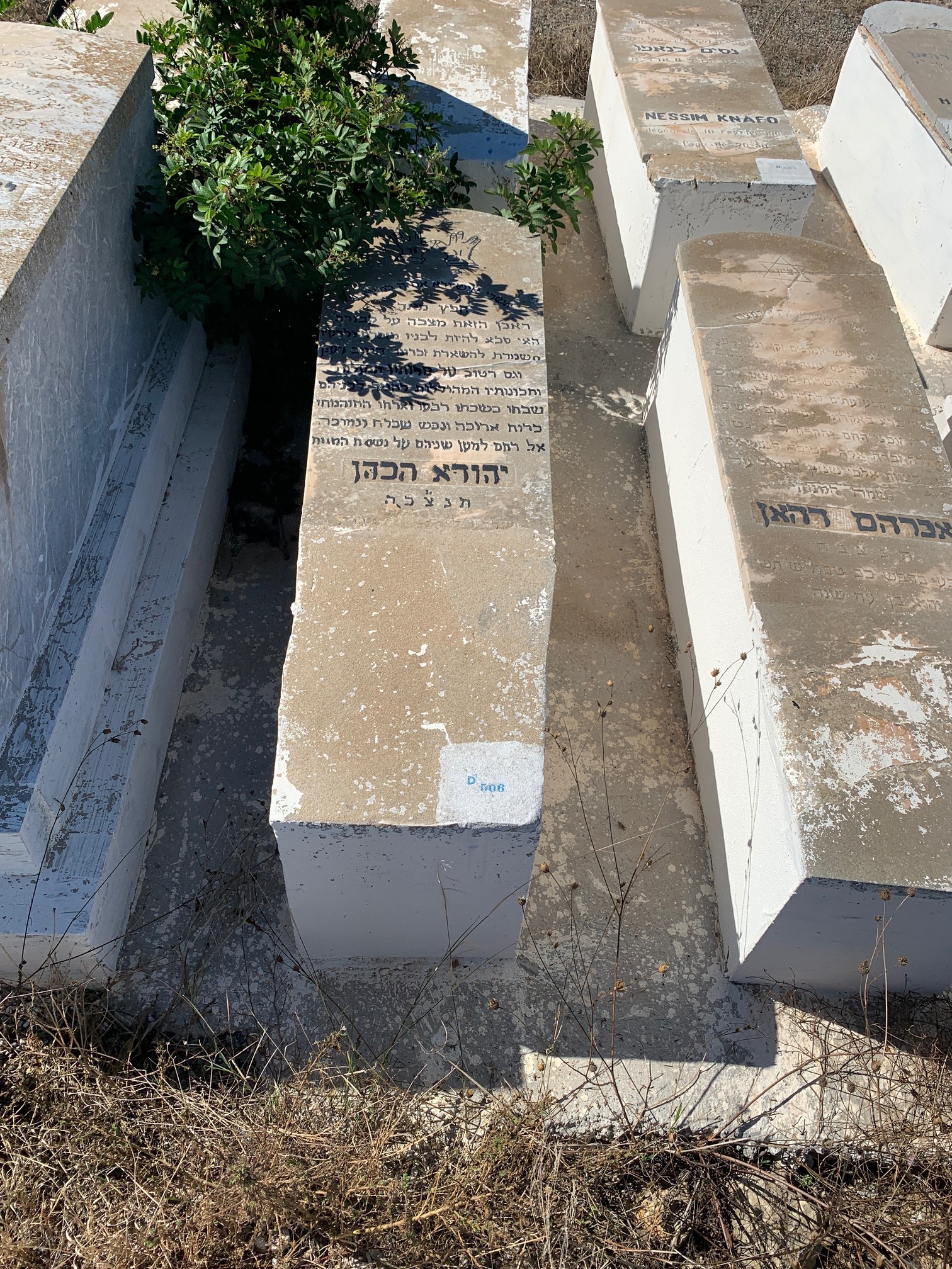 מצבת Hacohen Yehuda