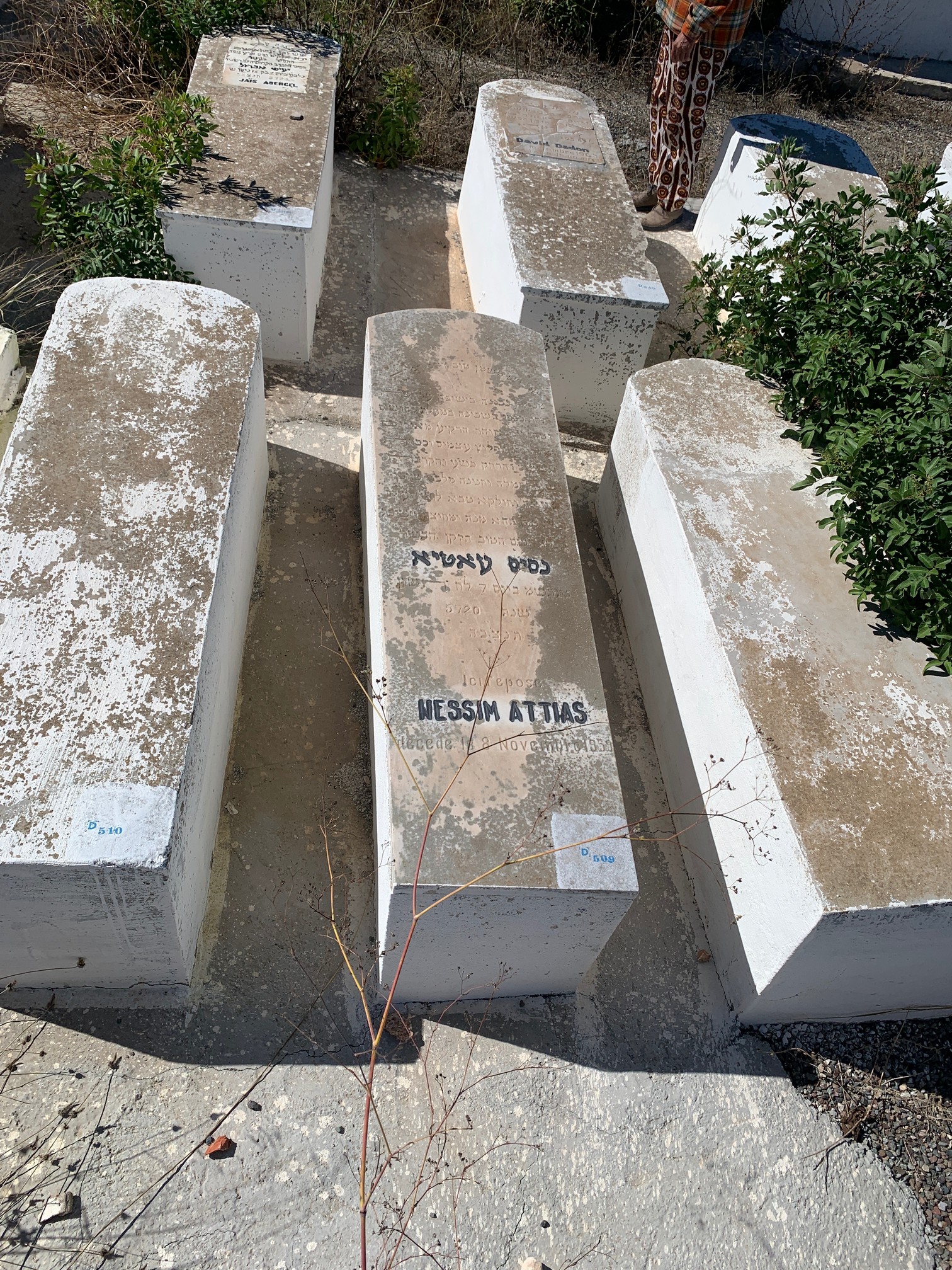 Stèle de Attias Nessim