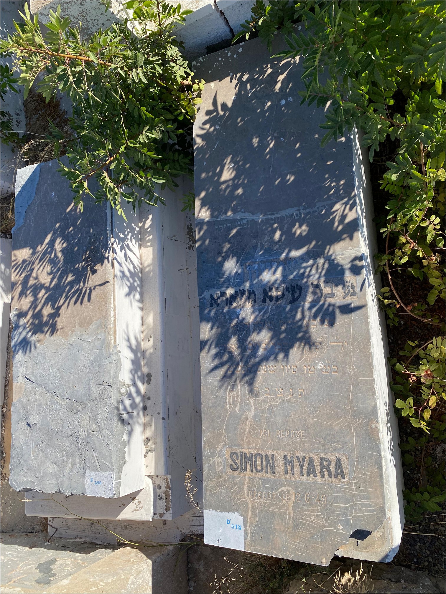 מַצֵּבה פון Myara Simon