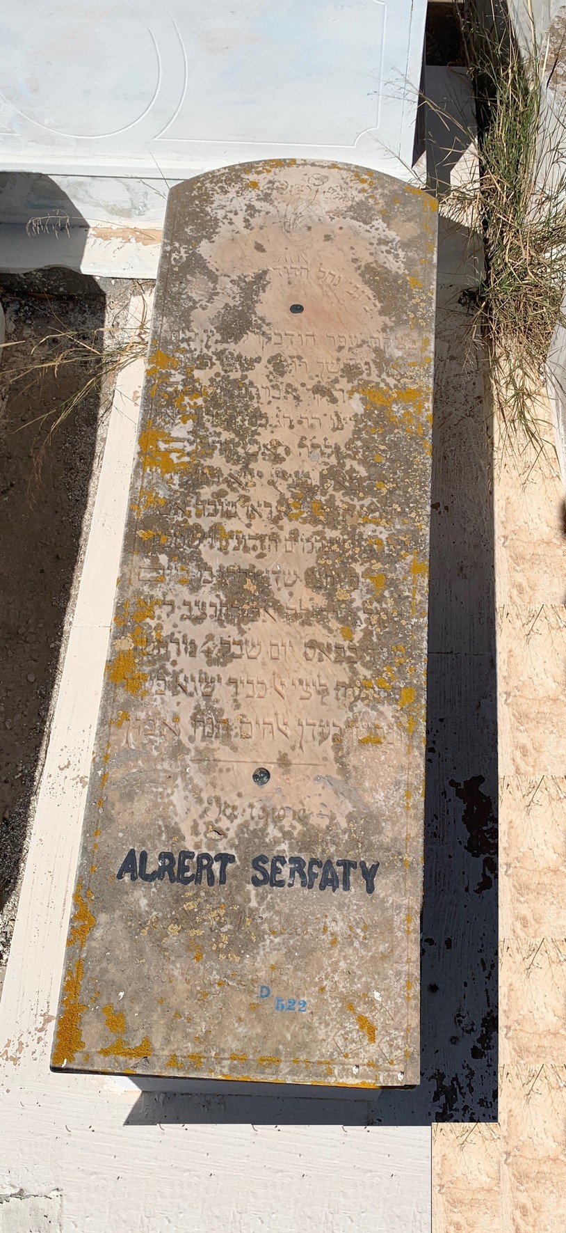 מַצֵּבה פון Serfaty Albert