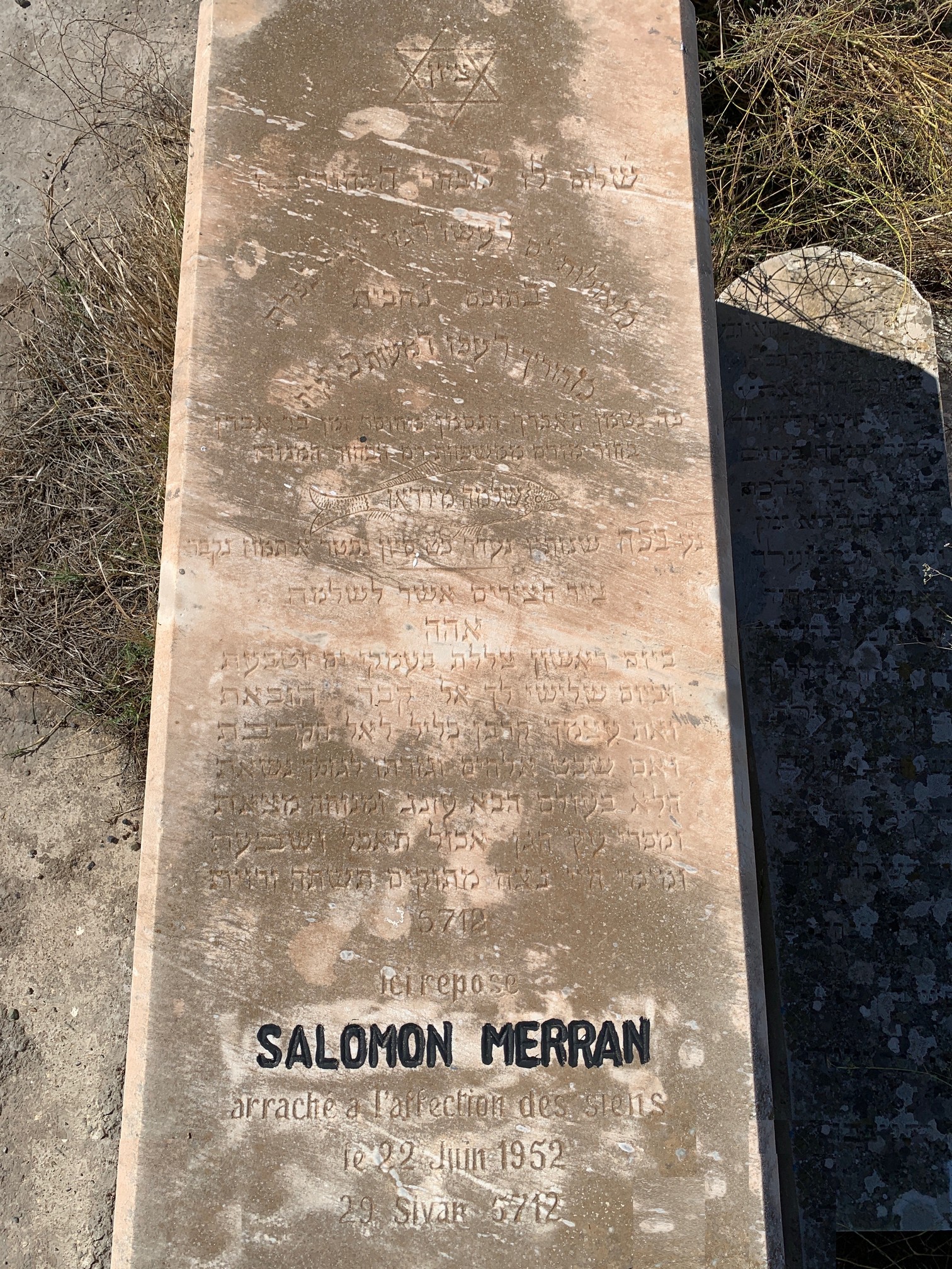 Tombstone of Merran Salomon