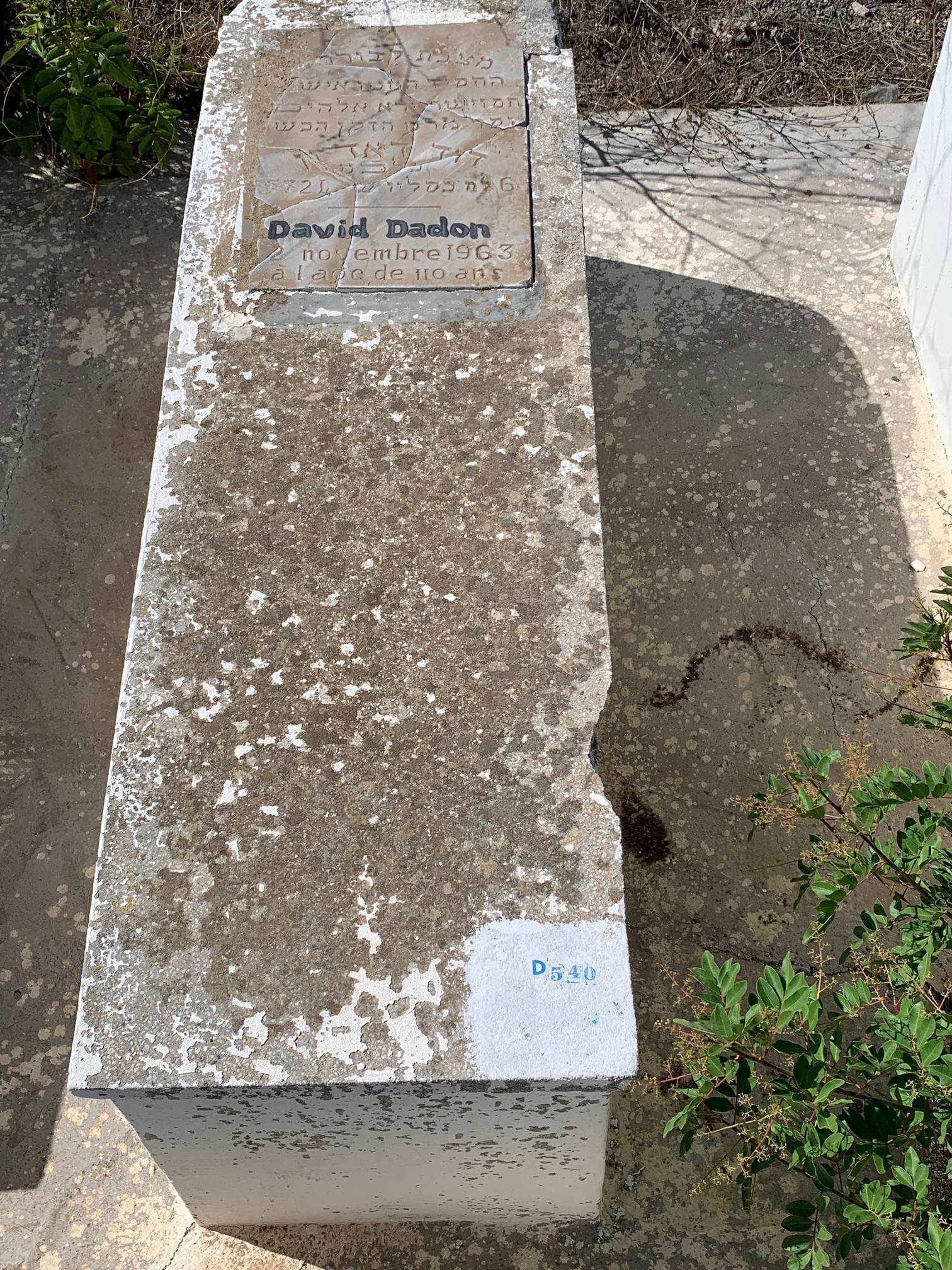 Grabstein von Dadon David