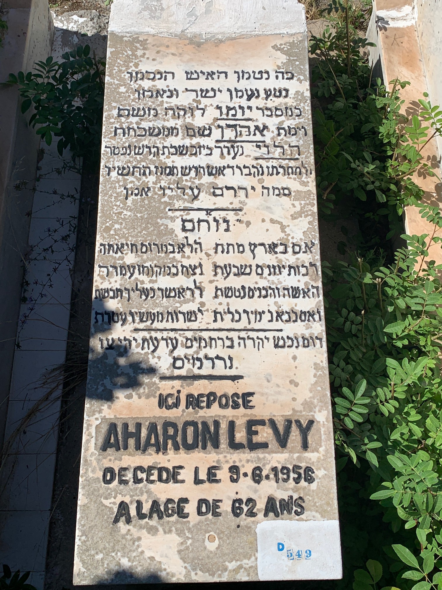 מצבת Lévy Aharon
