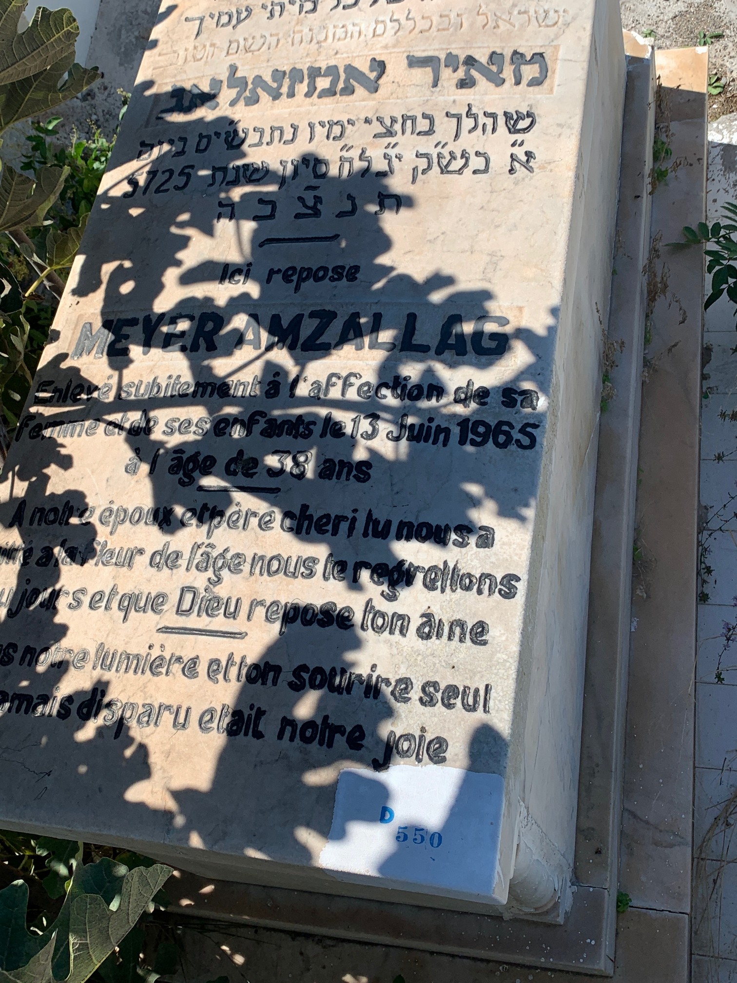 شاهدة قبر Amzallag Meyer